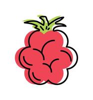 raspberry fruit fresh icon isolated vector