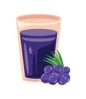 acai fruit and juice illustration isolated vector