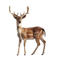 Side View Deer Transparent Background AI-Generative png