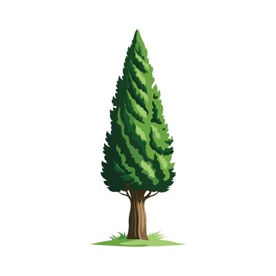 Beautiful Single Big Tree Illustration