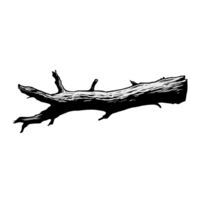 a black and white drawing of a tree branch. Generated AI png