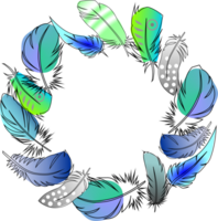 round frame of colorful bird feathers without background, decorative element, border png