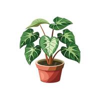 Beautiful Flowerpot Houseplant Illustration vector