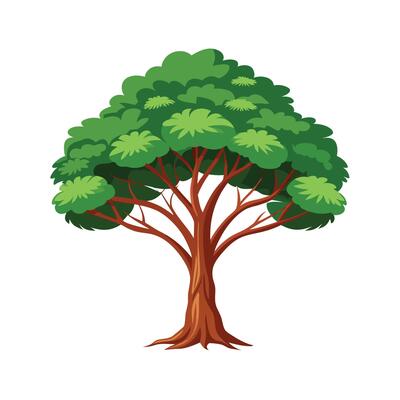 Beautiful Single Big Tree Illustration