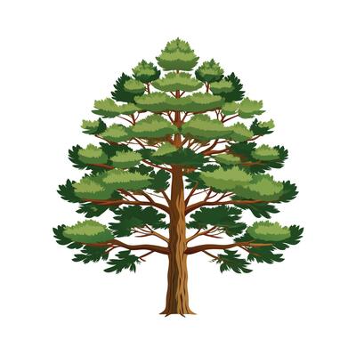 Beautiful Single Big Tree Illustration