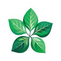 Realistic Beautiful Leaves Illustration vector