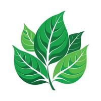 Realistic Beautiful Leaves Illustration vector