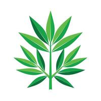 Realistic Beautiful Leaves Illustration vector