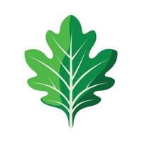 Realistic Beautiful Leaves Illustration vector