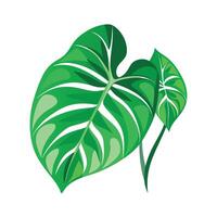 Realistic Beautiful Leaves Illustration vector