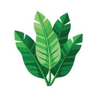 Realistic Beautiful Leaves Illustration vector