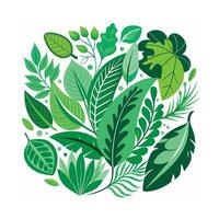 Realistic Beautiful Leaves Illustration vector