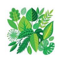 Realistic Beautiful Leaves Illustration vector