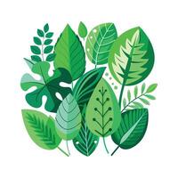 Realistic Beautiful Leaves Illustration vector