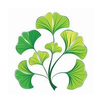 Realistic Beautiful Leaves Illustration vector