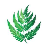 Realistic Beautiful Leaves Illustration vector