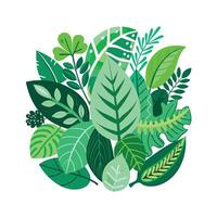 Realistic Beautiful Leaves Illustration vector