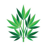 Realistic Beautiful Leaves Illustration vector
