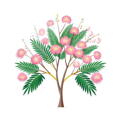 Beautiful Single Big Tree Illustration