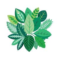 Realistic Beautiful Leaves Illustration vector