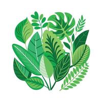 Realistic Beautiful Leaves Illustration vector
