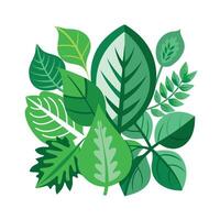 Realistic Beautiful Leaves Illustration vector