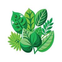 Realistic Beautiful Leaves Illustration vector