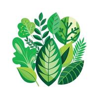 Realistic Beautiful Leaves Illustration vector