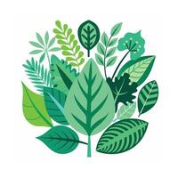 Realistic Beautiful Leaves Illustration vector