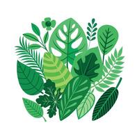 Realistic Beautiful Leaves Illustration vector