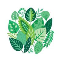 Realistic Beautiful Leaves Illustration vector