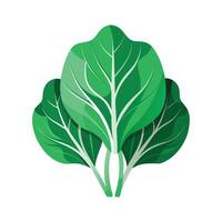 Realistic Beautiful Leaves Illustration vector