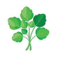 Realistic Beautiful Leaves Illustration vector