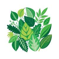 Realistic Beautiful Leaves Illustration vector