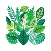 Realistic Beautiful Leaves Illustration vector