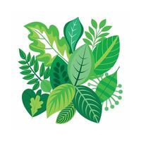 Realistic Beautiful Leaves Illustration vector