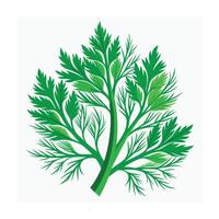 Realistic Beautiful Leaves Illustration vector