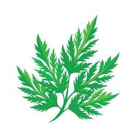 Realistic Beautiful Leaves Illustration vector