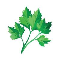 Realistic Beautiful Leaves Illustration vector