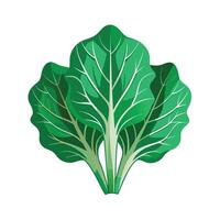 Realistic Beautiful Leaves Illustration vector