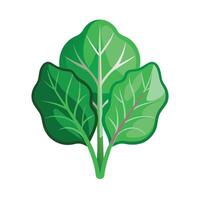 Realistic Beautiful Leaves Illustration vector