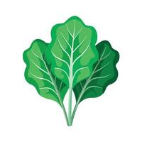 Realistic Beautiful Leaves Illustration vector