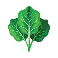 Realistic Beautiful Leaves Illustration vector