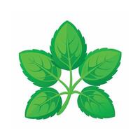 Realistic Beautiful Leaves Illustration vector