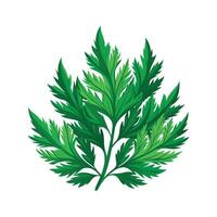 Realistic Beautiful Leaves Illustration vector