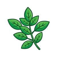 Realistic Beautiful Leaves Illustration vector