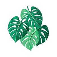 Realistic Beautiful Leaves Illustration vector