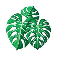 Realistic Beautiful Leaves Illustration vector