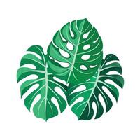 Realistic Beautiful Leaves Illustration vector