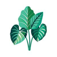 Realistic Beautiful Leaves Illustration vector